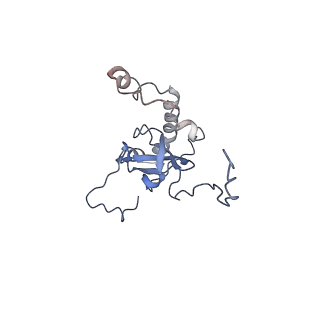 24411_8esq_E_v1-2
Ytm1 associated nascent 60S ribosome State 2