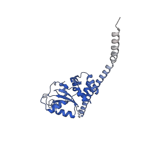24411_8esq_F_v1-2
Ytm1 associated nascent 60S ribosome State 2