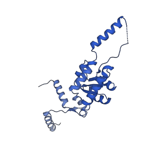 24411_8esq_G_v1-2
Ytm1 associated nascent 60S ribosome State 2