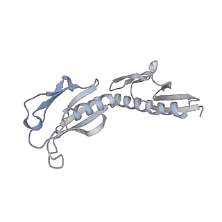 24411_8esq_H_v1-2
Ytm1 associated nascent 60S ribosome State 2