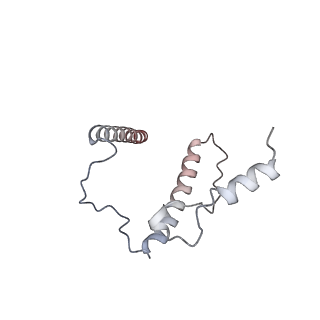 24411_8esq_J_v1-2
Ytm1 associated nascent 60S ribosome State 2