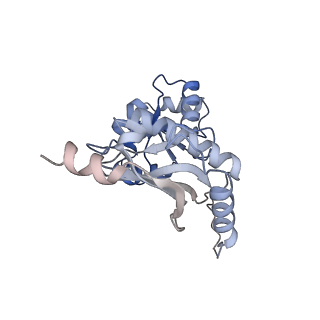 24411_8esq_K_v1-2
Ytm1 associated nascent 60S ribosome State 2