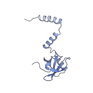 24411_8esq_M_v1-2
Ytm1 associated nascent 60S ribosome State 2