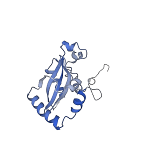 24411_8esq_N_v1-2
Ytm1 associated nascent 60S ribosome State 2