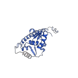 24411_8esq_O_v1-2
Ytm1 associated nascent 60S ribosome State 2