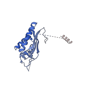 24411_8esq_P_v1-2
Ytm1 associated nascent 60S ribosome State 2