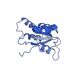 24411_8esq_Q_v1-2
Ytm1 associated nascent 60S ribosome State 2