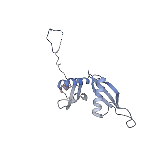 24411_8esq_S_v1-2
Ytm1 associated nascent 60S ribosome State 2