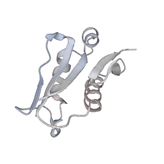 24411_8esq_U_v1-2
Ytm1 associated nascent 60S ribosome State 2