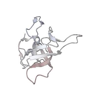 24411_8esq_V_v1-2
Ytm1 associated nascent 60S ribosome State 2