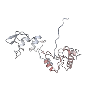 24411_8esq_W_v1-2
Ytm1 associated nascent 60S ribosome State 2