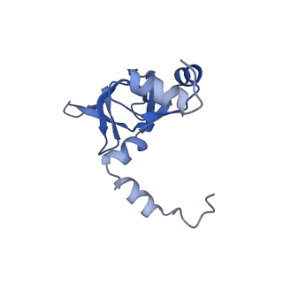 24411_8esq_Y_v1-2
Ytm1 associated nascent 60S ribosome State 2