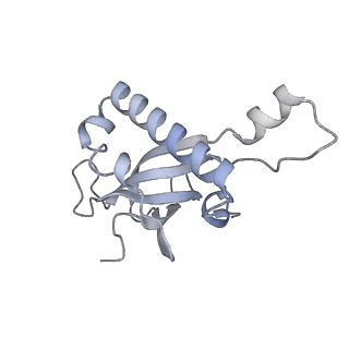 24411_8esq_Z_v1-2
Ytm1 associated nascent 60S ribosome State 2