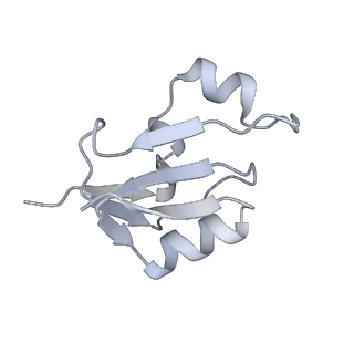 24411_8esq_a_v1-2
Ytm1 associated nascent 60S ribosome State 2