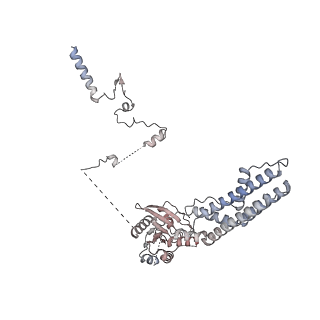 24411_8esq_b_v1-2
Ytm1 associated nascent 60S ribosome State 2