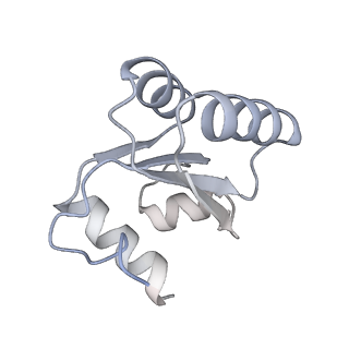 24411_8esq_c_v1-2
Ytm1 associated nascent 60S ribosome State 2