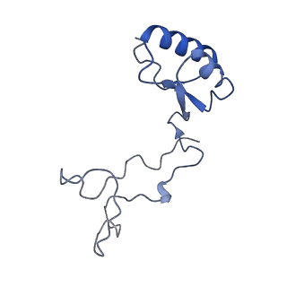 24411_8esq_e_v1-2
Ytm1 associated nascent 60S ribosome State 2