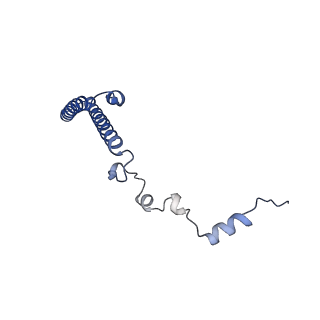 24411_8esq_h_v1-2
Ytm1 associated nascent 60S ribosome State 2