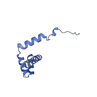 24411_8esq_i_v1-2
Ytm1 associated nascent 60S ribosome State 2