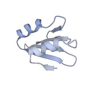 24411_8esq_k_v1-2
Ytm1 associated nascent 60S ribosome State 2