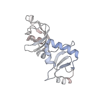 24411_8esq_l_v1-2
Ytm1 associated nascent 60S ribosome State 2