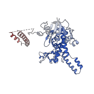 24411_8esq_n_v1-2
Ytm1 associated nascent 60S ribosome State 2