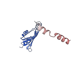 24411_8esq_o_v1-2
Ytm1 associated nascent 60S ribosome State 2
