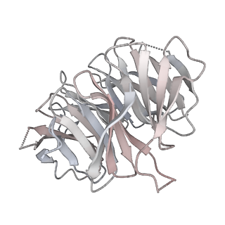 24411_8esq_p_v1-2
Ytm1 associated nascent 60S ribosome State 2