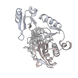 24411_8esq_q_v1-2
Ytm1 associated nascent 60S ribosome State 2