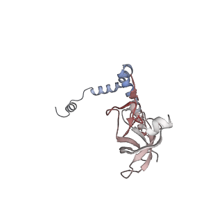 24411_8esq_r_v1-2
Ytm1 associated nascent 60S ribosome State 2