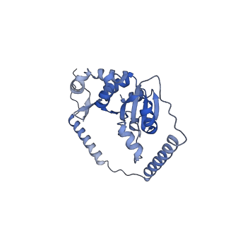 24411_8esq_t_v1-2
Ytm1 associated nascent 60S ribosome State 2