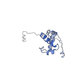 24411_8esq_v_v1-2
Ytm1 associated nascent 60S ribosome State 2