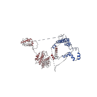 24411_8esq_w_v1-2
Ytm1 associated nascent 60S ribosome State 2