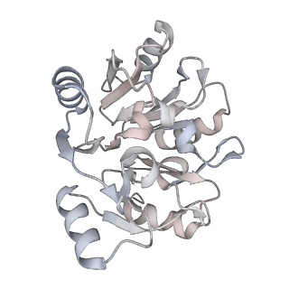 24411_8esq_y_v1-2
Ytm1 associated nascent 60S ribosome State 2