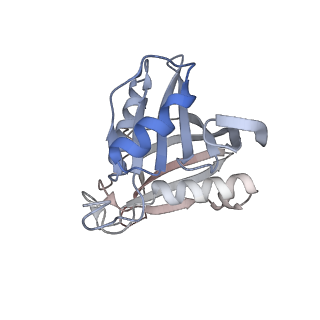 24422_8esr_A_v1-2
Ytm1 associated nascent 60S ribosome (-fkbp39) State 2