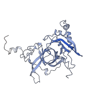 24422_8esr_B_v1-2
Ytm1 associated nascent 60S ribosome (-fkbp39) State 2