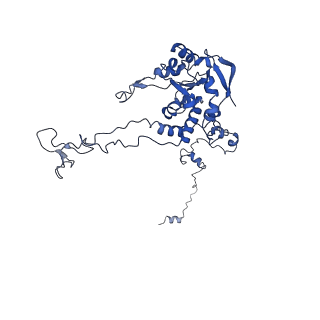 24422_8esr_C_v1-2
Ytm1 associated nascent 60S ribosome (-fkbp39) State 2