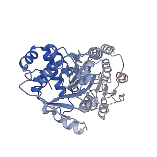 24422_8esr_D_v1-2
Ytm1 associated nascent 60S ribosome (-fkbp39) State 2