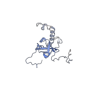 24422_8esr_E_v1-2
Ytm1 associated nascent 60S ribosome (-fkbp39) State 2