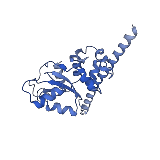24422_8esr_F_v1-2
Ytm1 associated nascent 60S ribosome (-fkbp39) State 2