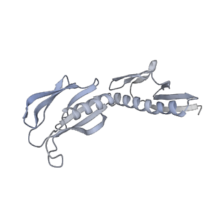 24422_8esr_H_v1-2
Ytm1 associated nascent 60S ribosome (-fkbp39) State 2