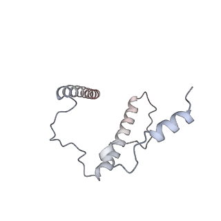 24422_8esr_J_v1-2
Ytm1 associated nascent 60S ribosome (-fkbp39) State 2
