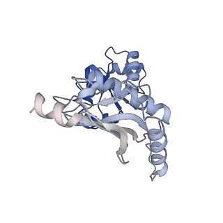 24422_8esr_K_v1-2
Ytm1 associated nascent 60S ribosome (-fkbp39) State 2