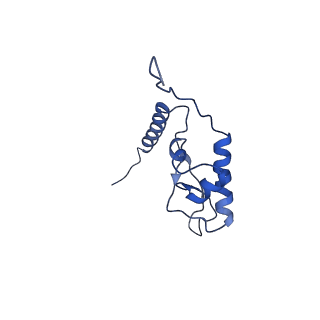24422_8esr_L_v1-2
Ytm1 associated nascent 60S ribosome (-fkbp39) State 2
