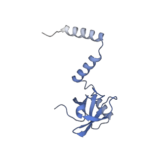 24422_8esr_M_v1-2
Ytm1 associated nascent 60S ribosome (-fkbp39) State 2