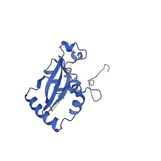 24422_8esr_N_v1-2
Ytm1 associated nascent 60S ribosome (-fkbp39) State 2