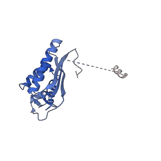 24422_8esr_P_v1-2
Ytm1 associated nascent 60S ribosome (-fkbp39) State 2