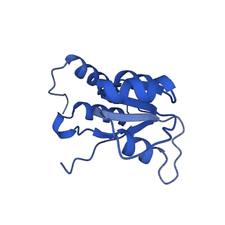24422_8esr_Q_v1-2
Ytm1 associated nascent 60S ribosome (-fkbp39) State 2
