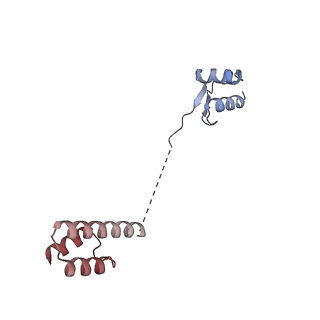 24422_8esr_R_v1-2
Ytm1 associated nascent 60S ribosome (-fkbp39) State 2