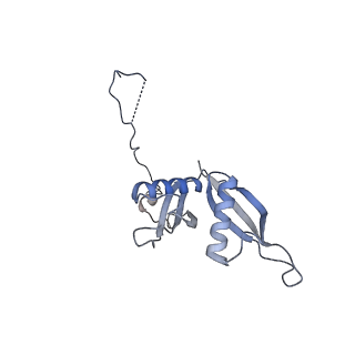24422_8esr_S_v1-2
Ytm1 associated nascent 60S ribosome (-fkbp39) State 2